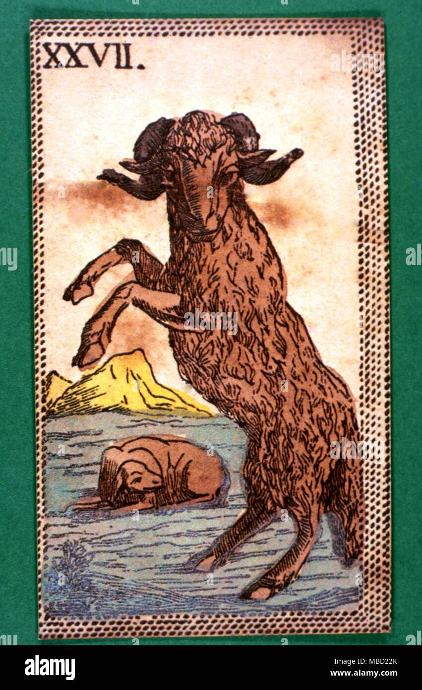 ARIES (March 21 - April 19)