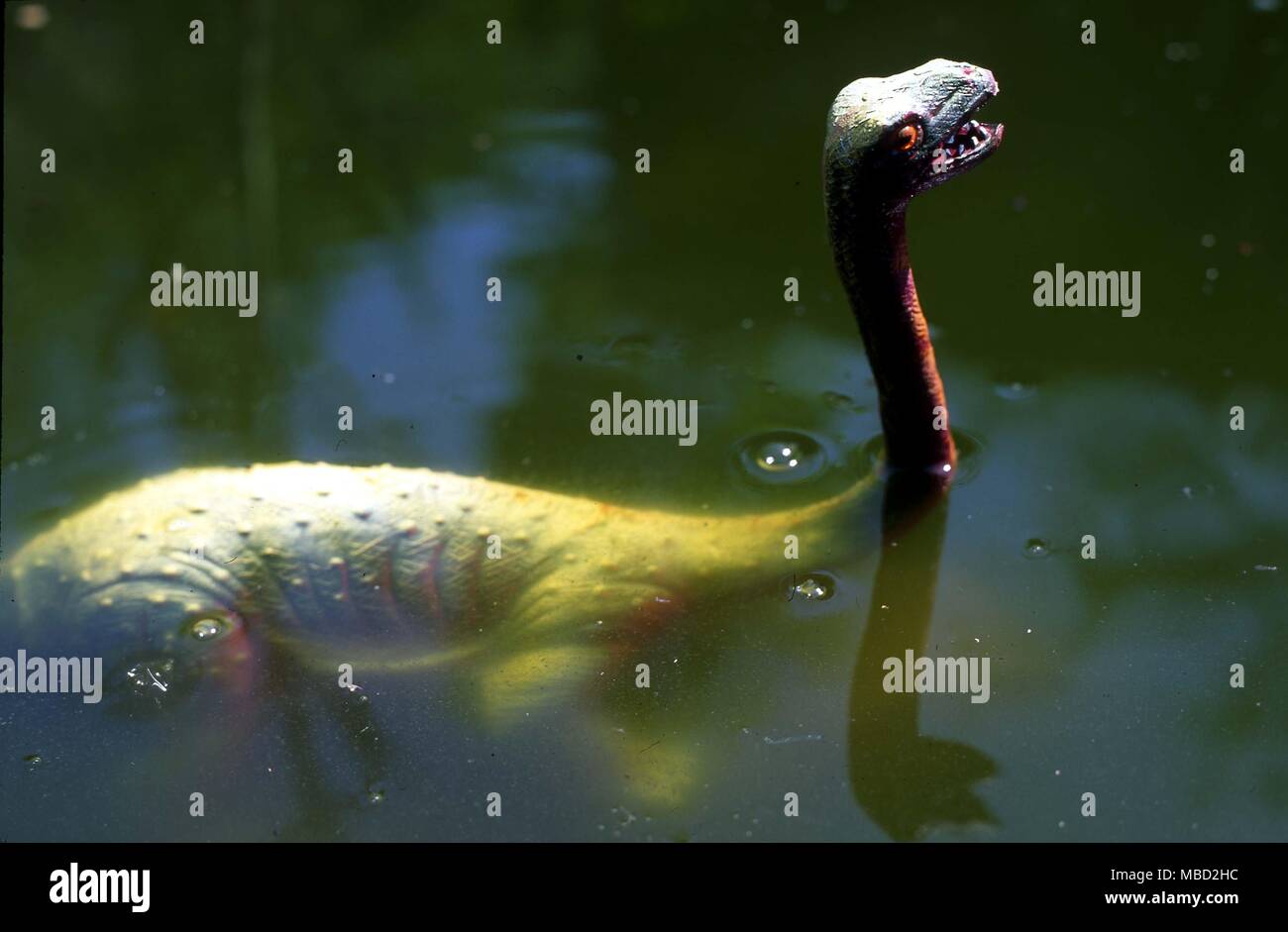 Model of the Loch Ness monster - Nessie - constructed from authenticated sightings. Stock Photo