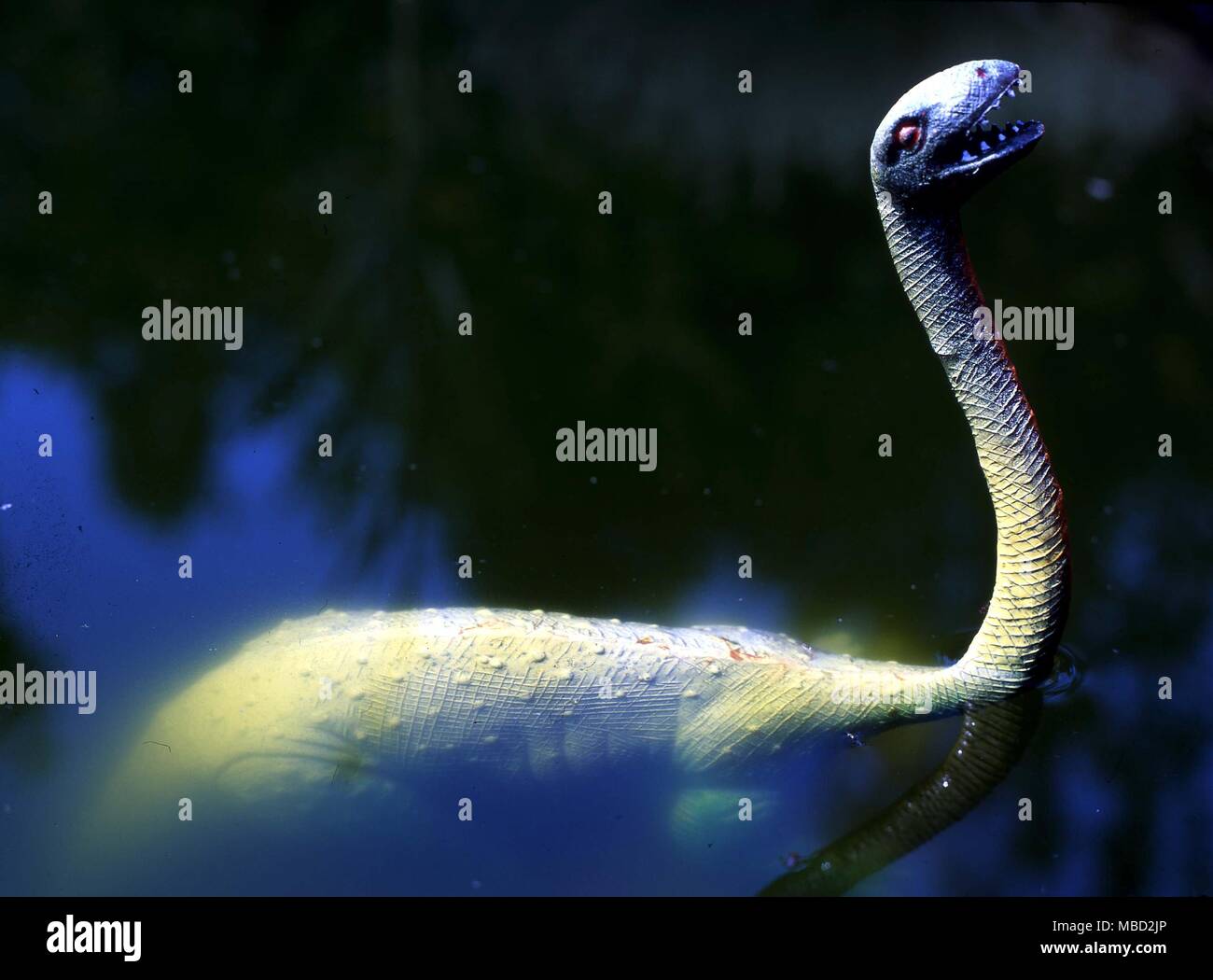 Model of the Loch Ness monster - Nessie - constructed from authenticated sightings. Stock Photo