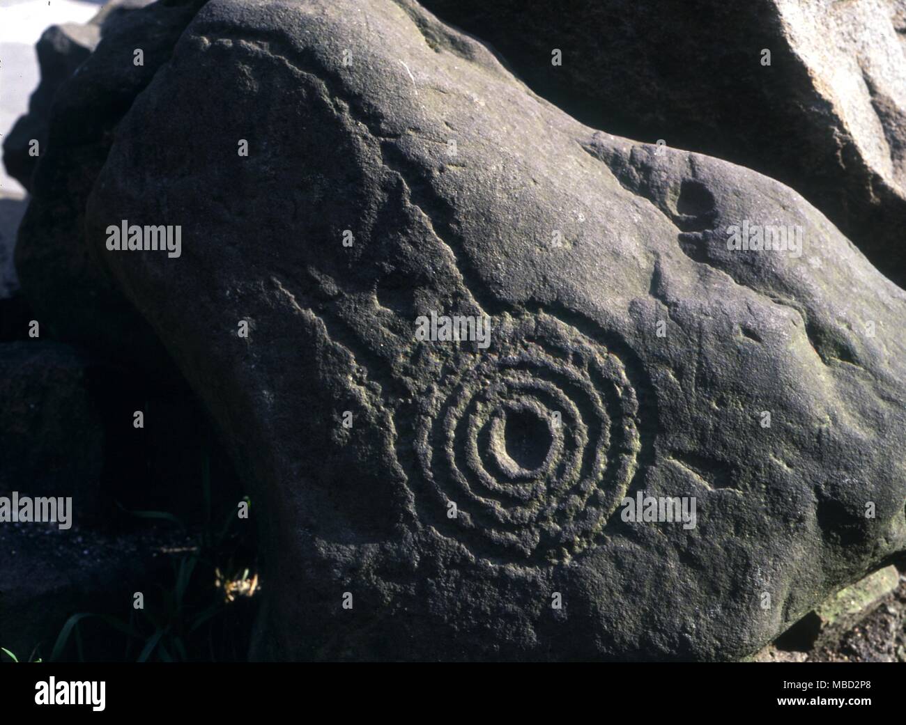 B&#39;z サイン色紙　CIRCLE OF ROCK What is the type of rock with a circle pattern?