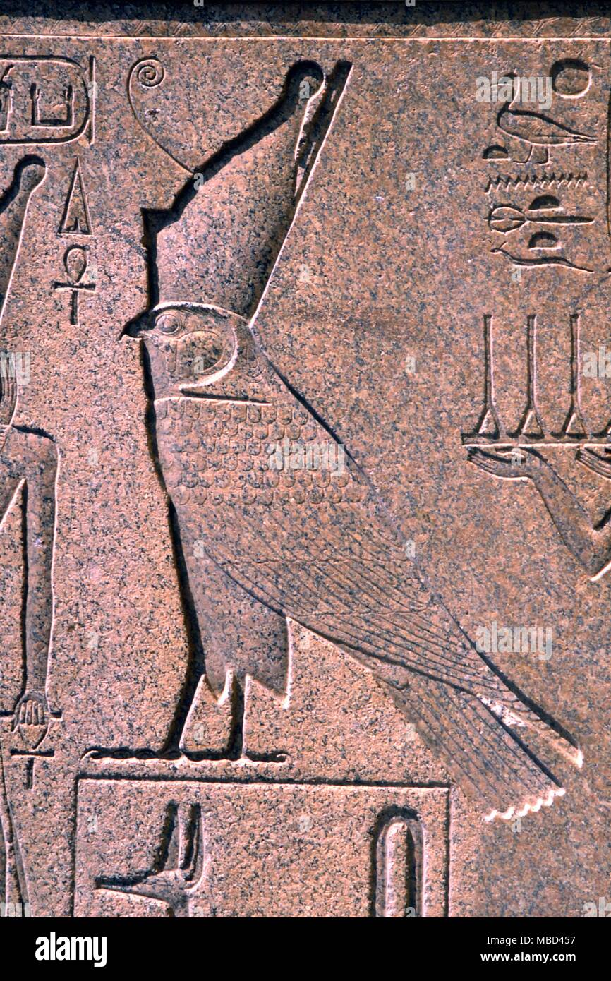 Mythology - Egyptian - Image of Horus in guise of a falcon wearing the Egyptian crown. From a stele in the temenos of Karnak Temple. - © / Charles Walker Stock Photo