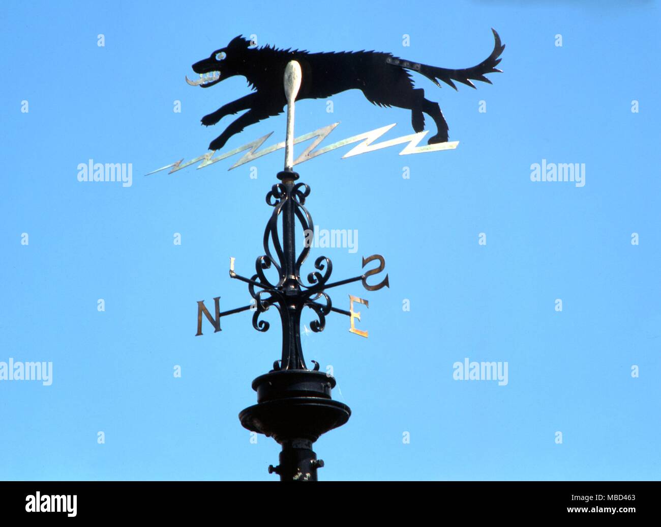 Ghostly dogs and black dogs - the demonic black dog atop the weathervane at Bungay, Suffolk. It is said that on 4th August 1577 a black dog appeared in Bungay church and wrung the necks of some members of congregation. - ©Charles Walker / Stock Photo