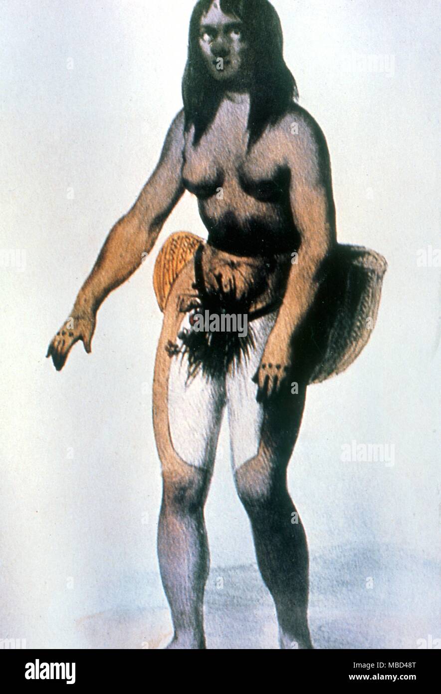 Easter Island - Natives - Nineteenth century lithograph of an aboriginal Easter Islander (female) - Private collection. - ©Charles Walker / Stock Photo