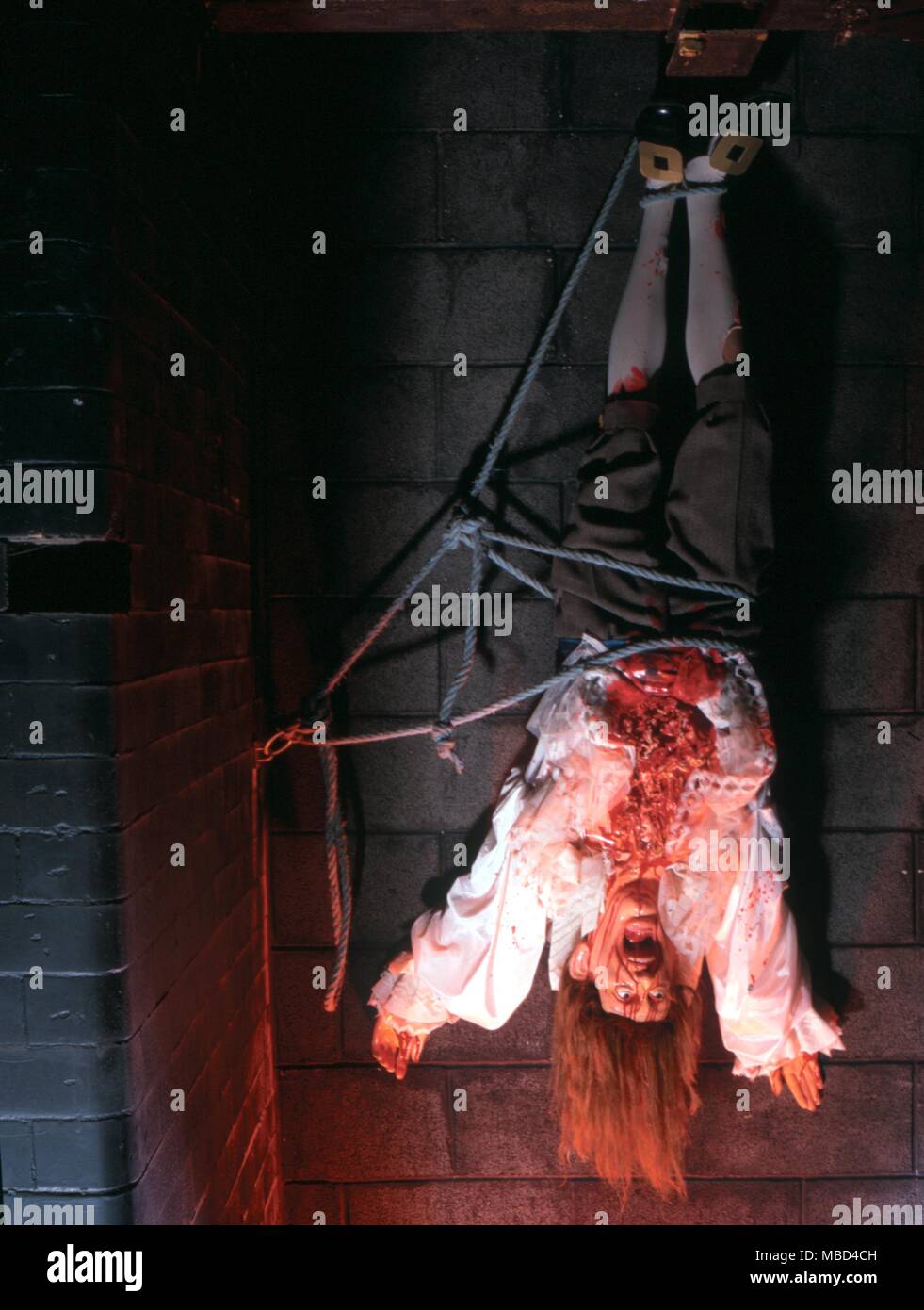 Horror - Hanging man - the body of a savagely tortured man hanging upside down from the wall of a prison. Display model in the horror museum, Hebden Crypt, Hebden Bridge, West Yorkshire. - © / Charles Walker Stock Photo