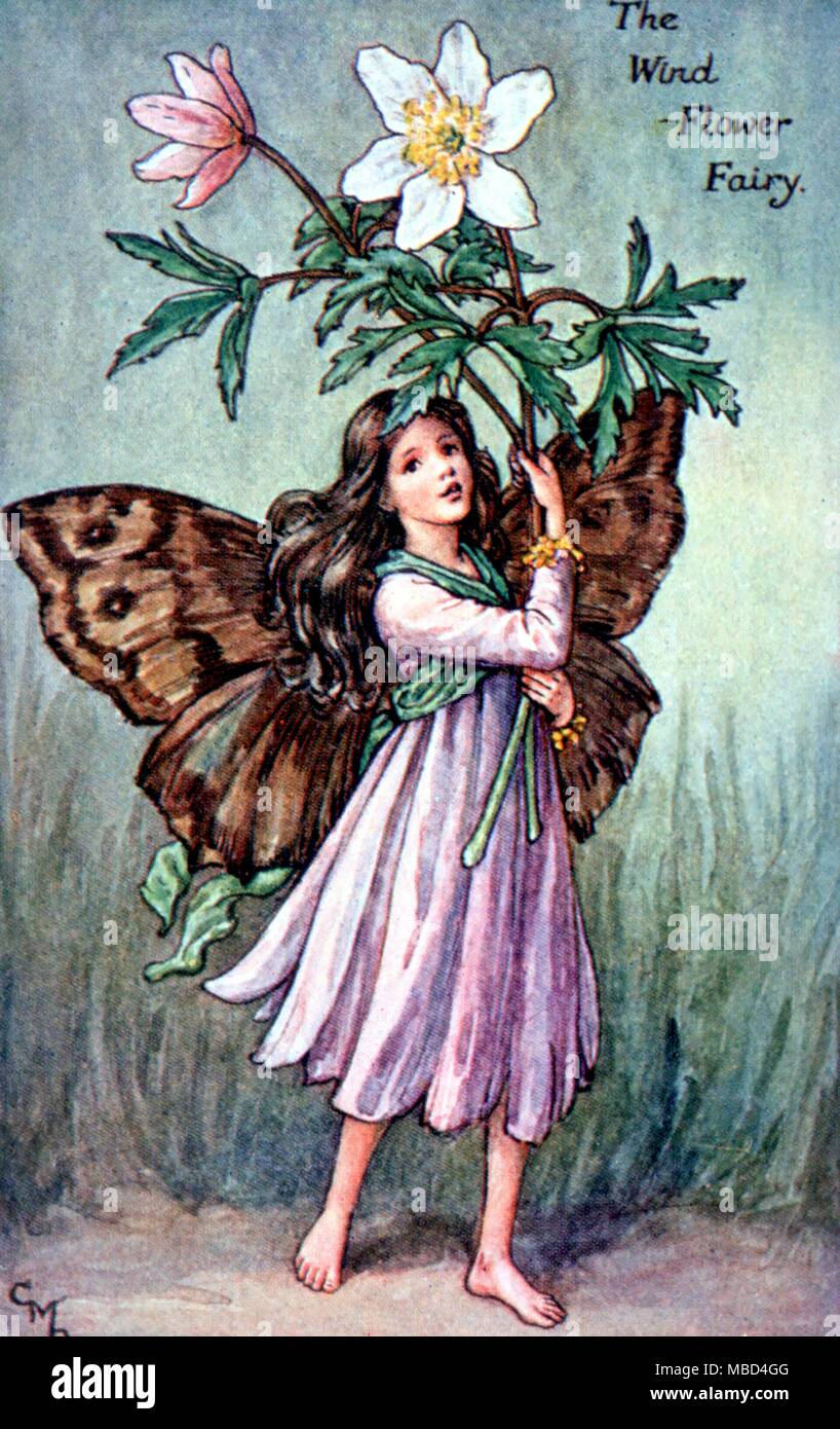 The Windflower Fairy - from C. M. Barker's Spring Songs with Music, n.d., but circa 1920. - © /CW Stock Photo