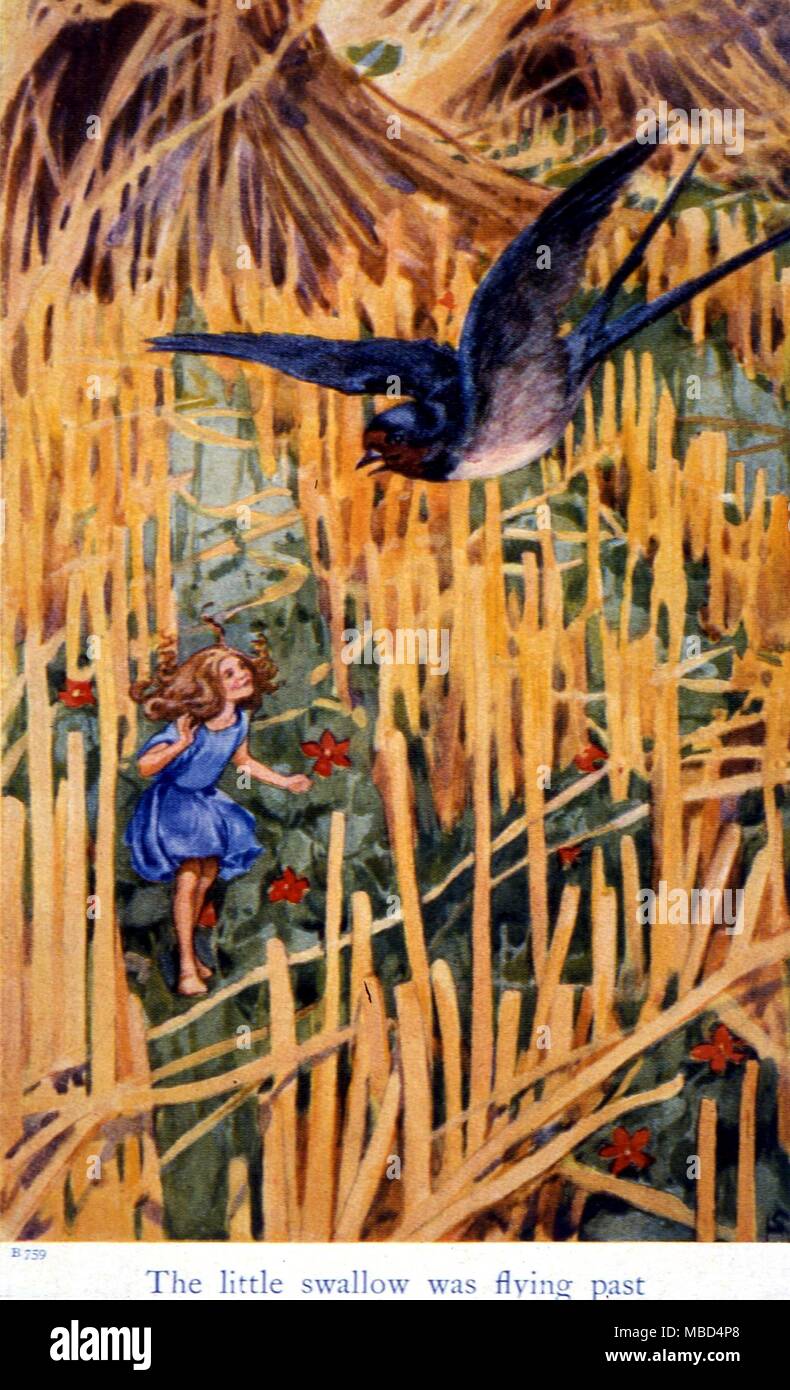 FAIRY STORIES - TOMMELISE. The Little Swallow was flying past. Illustration from hans Andersen's Fairy Tales, c. 1920 by Helen Stratton The year of 2005 is the 200-year anniversary for Hans Christian Andersen's birth. Due to this there will be a global celebration to remember and honour the Danish author. Stock Photo