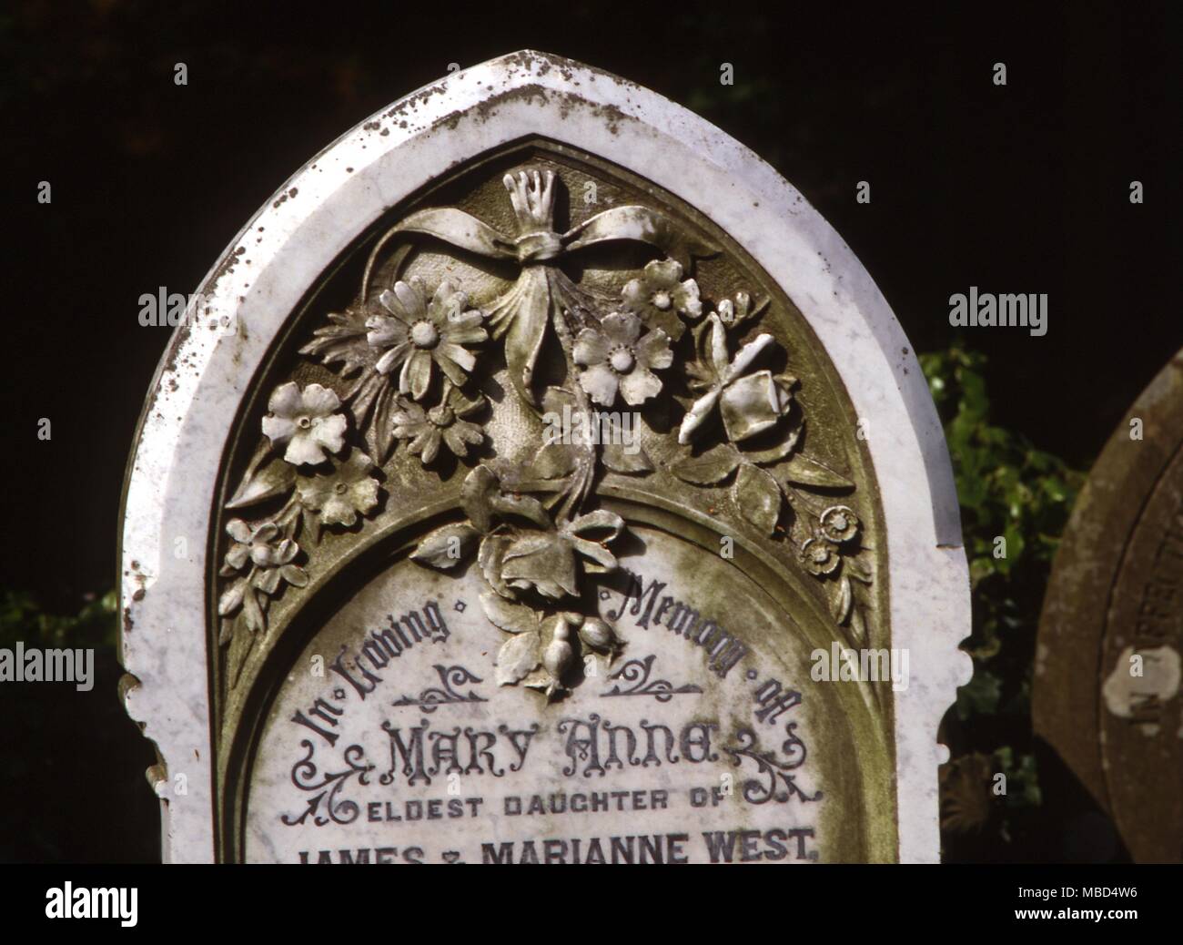 Flowers - Various marble-relief flowers on a headstone (19th century) in the churchyard of Kilpeck church - ©Charles Walker / Stock Photo