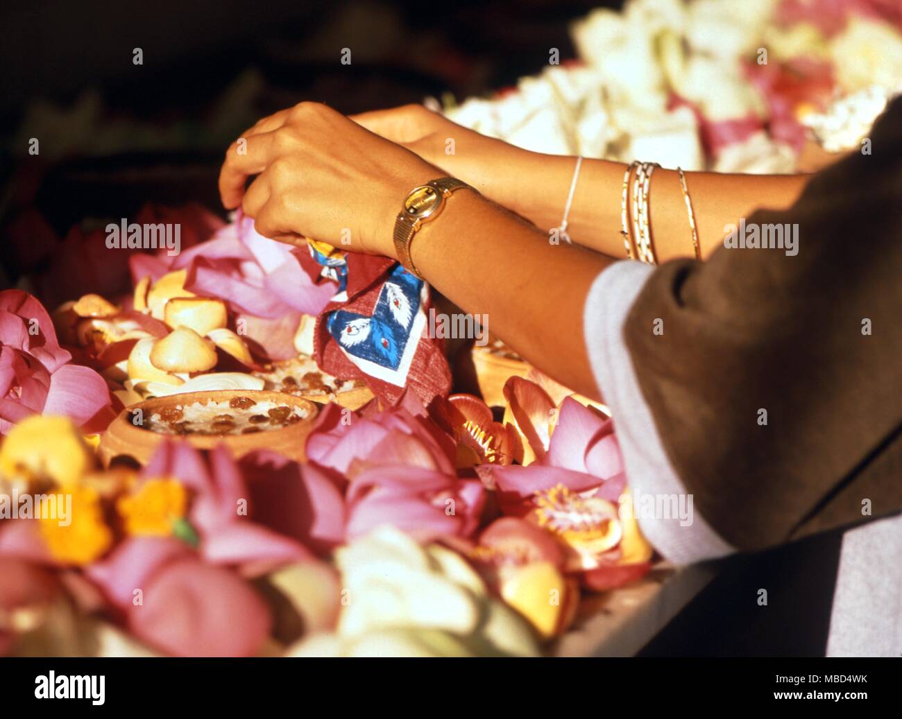 Buddhism - floral offerings in the Bodhi Tree temple, Anuradhapura, Sri Lanka.- ©Charles Walker / Stock Photo