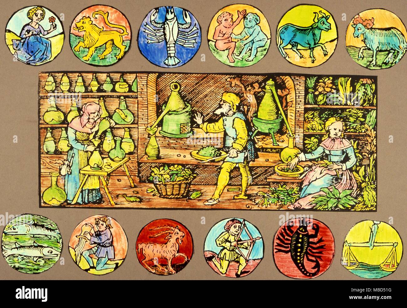 Herbal, zodiac and herbs, the 12 images of the zodiacal signs around