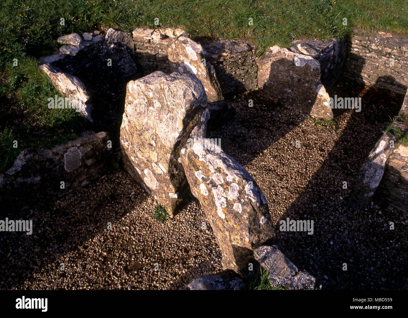 The neolithic long barrow at Nympsfield, near Stroud, Gloucestershire. Constructed c.2,800 BC. The capstones have been removed. Bones of 13 people were found inside the barrow. Stock Photo