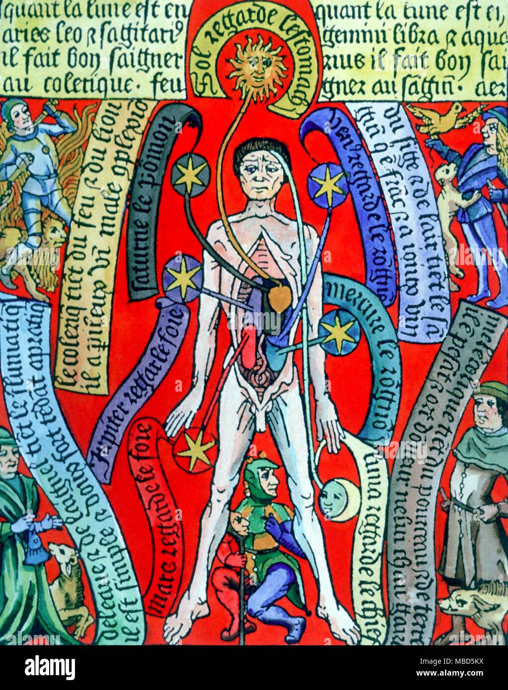 Medical - Internal rulerships. Medical chart for internal rulerships, with the medical man surrounded by the representations of the Four Elements, and with the Fool at his feet. Shepherd's Calendar of c.1495. Stock Photo