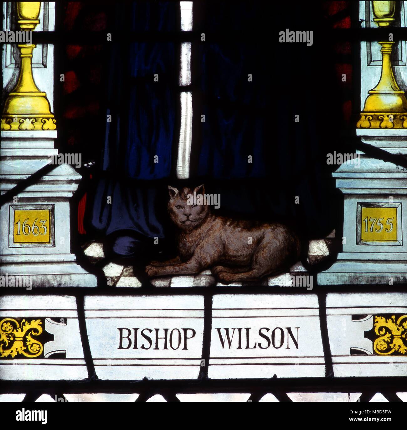 Cat Detail of cat at the feet of Bishop Wilson from the stained glass window in the cloisters of Chester Cathedral dated circa 1921-28 Stock Photo