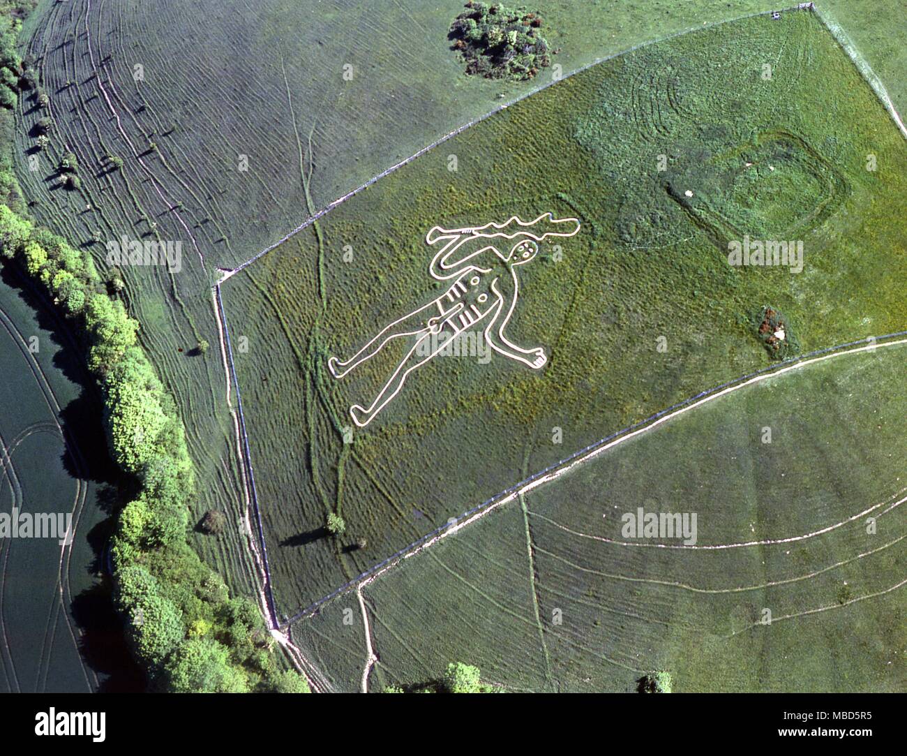 205. Cerne Abbas, England The Cerne Abbas Giant (hill figure) ©2006 Charles Walker / Stock Photo