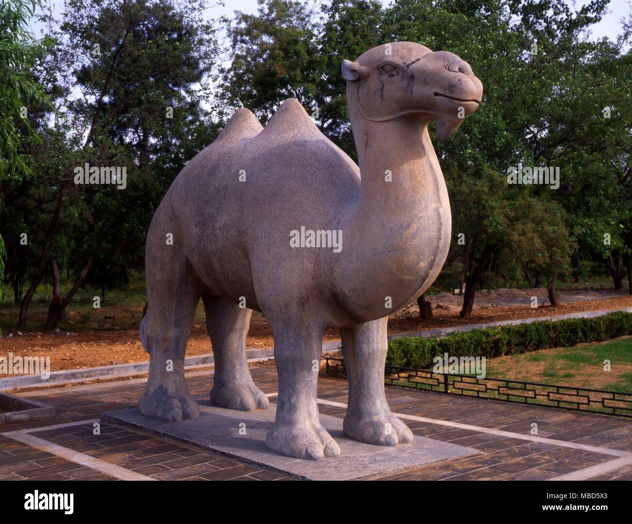 CHINA - DROMEDARY NEAR MING TOMBS, BEIJING on the sacred way leading to the Ming Tombs, Bejing. Stock Photo