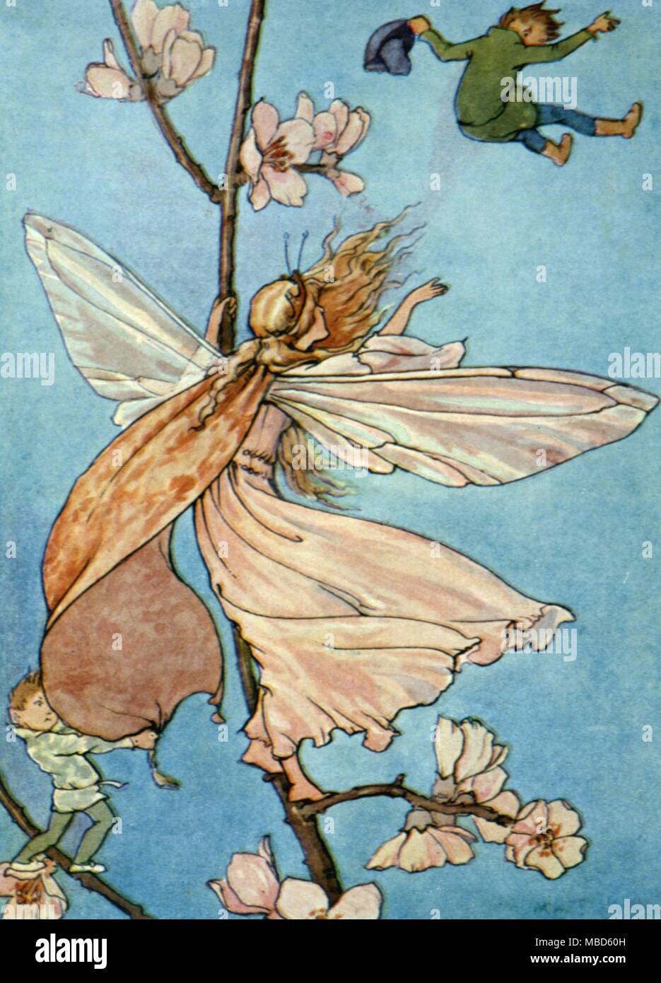 The Queen and the Fairies sent him flying. Illustration by Margaret W. Tarrant for Fairy Tales, , but circa 1920 Stock Photo