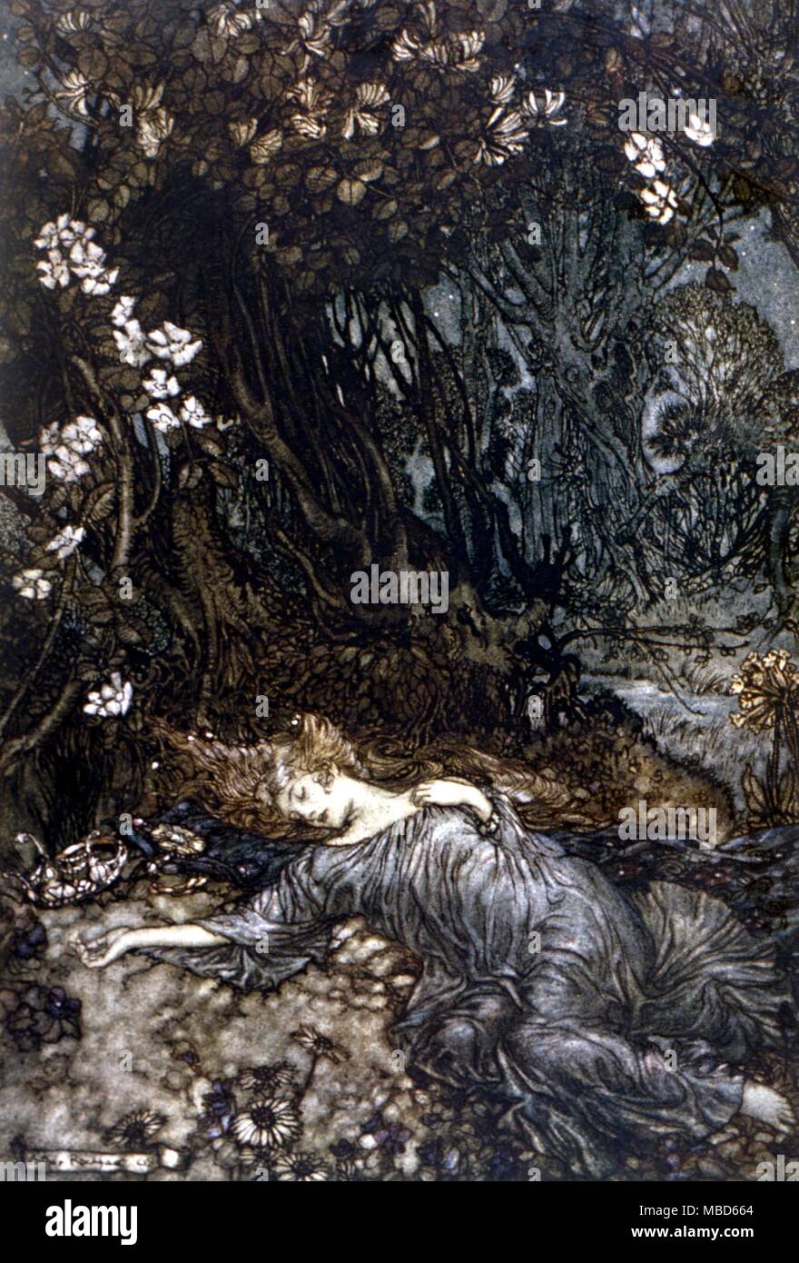 Queen The Fairies High Resolution Stock Photography And Images Alamy