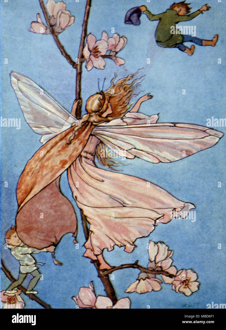 Fairy Tales - Tom Thumb The Queen and the Fairies sent him flying. Illustration by Margaret W Tarrant for Fairy Tales, nd, but circa 1920 Stock Photo
