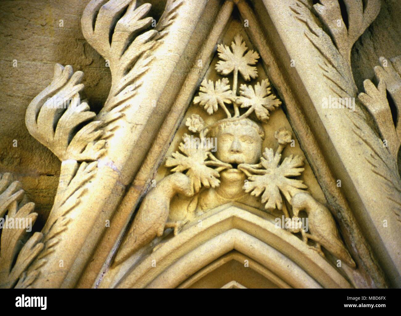 Green Man Green man with a double foliage, in the Chapter House, Southenwell Minster. Probably the 13th century . Stock Photo