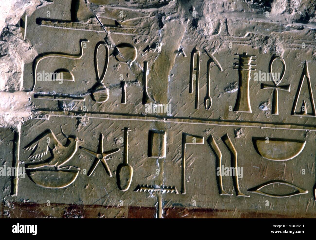 SYMBOLS - HIEROGLYPHICS - Details of hieroglyphics, or sacred writings on the wall of the funerary temple of Hapshepsut, Thebes Stock Photo