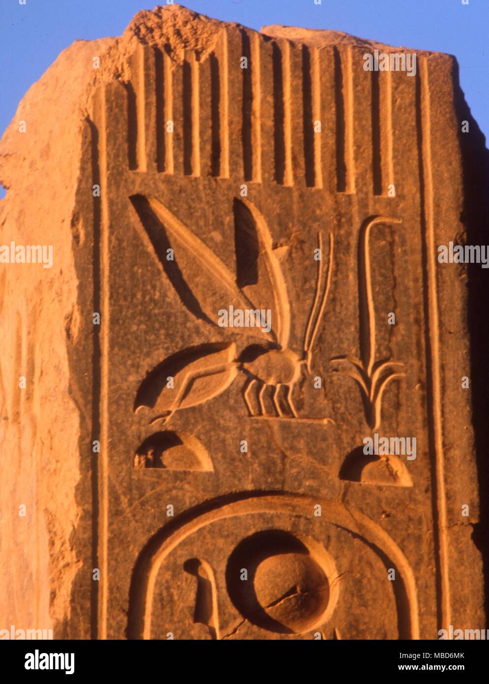 SYMBOLS - HIEROGLYPHICS - Details of hieroglyphics on a stele in the Ramesseum, Thebes Stock Photo