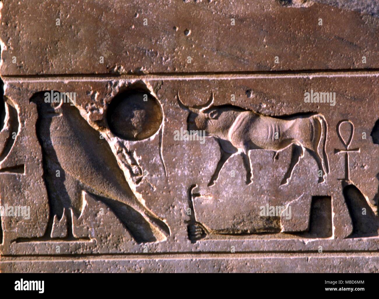 EGYPT - Hieroglyphics - alphabets - The forms of the falcon, bull, and ankh, on a statue socle in the temenos of the Temple of Luxor, Egypt Stock Photo