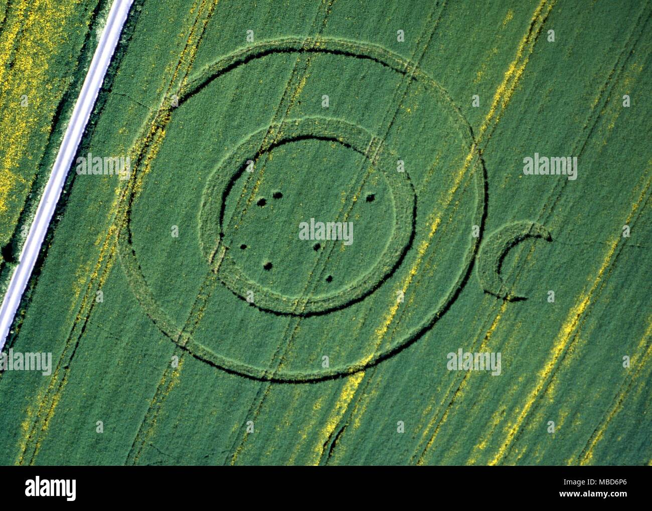 CORN CIRCLES - complex circles, concentrics with lunar crescent. Wiltshire (between Westbury and Avebury) last week in May 1994 Stock Photo