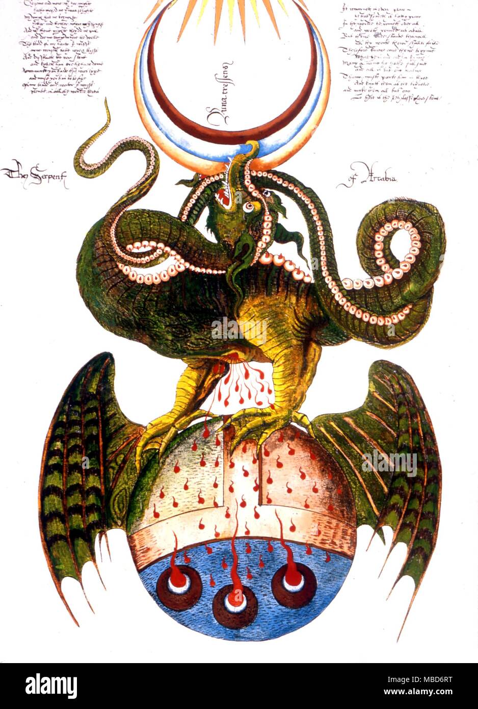 DRAGON - SERPENT OF ARABIA - The alchemical system of Sir George Ripley, of Bridlington (died 1490 ). The original scrolls (of which about 20 are known) are 18 feet long. This is a modern copy. The Serpent of Arabia, the Triple Sun, and the Moon. Stock Photo