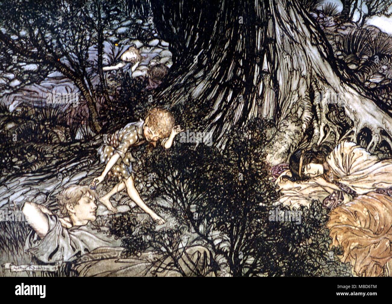 Midsummer Night's Dream - On the ground / Sleep sound / I'll apply / to your eye / Gentle lover, remedy. Illustration by Arthur Rackham for the 1908 edition of A Midsummer Night's Dream by Shakespeare Stock Photo