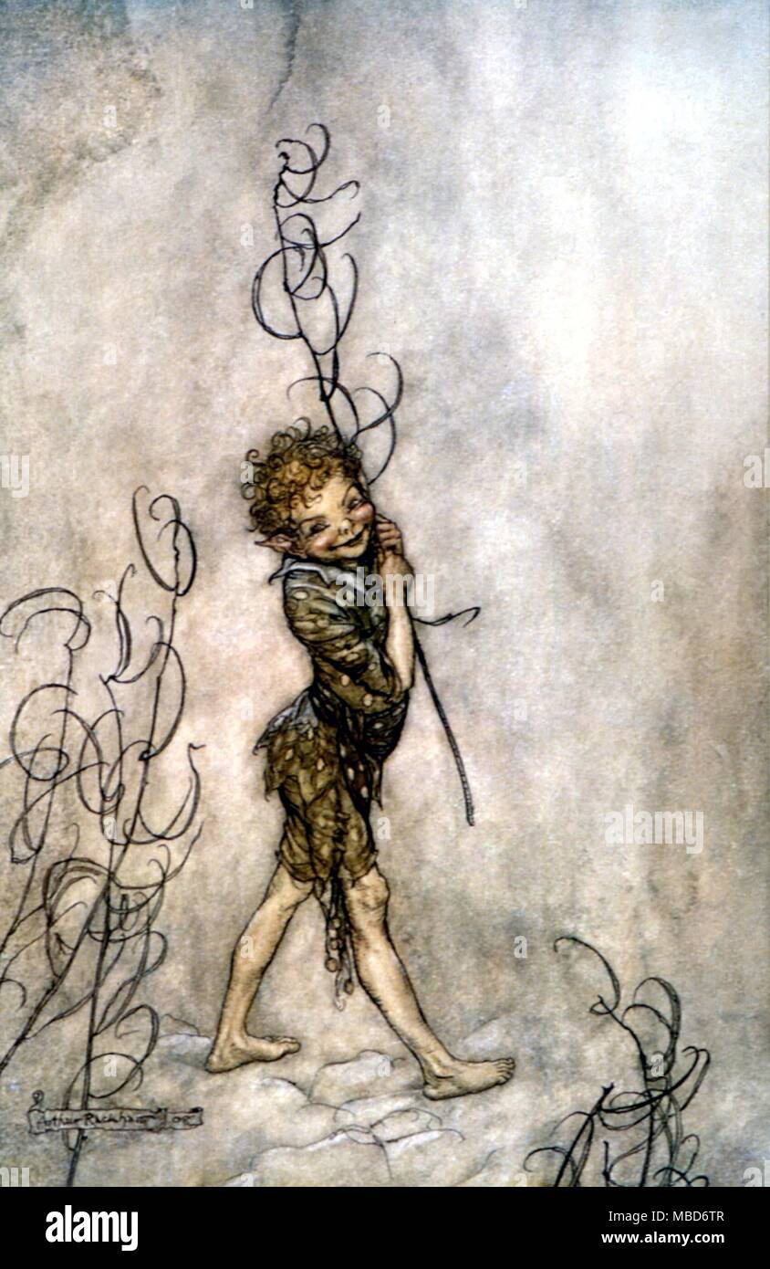 Midsummer Night's Dream - Lord, what fools these mortals be. Illustra tion by Arthur Rackham for the 1908 edition of A Midsummer Night's Dream by Shakespeare Stock Photo