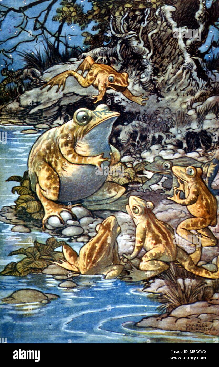 Aesop's Fables - The Proud Frog - illustration by Charles Folkard to Aesop's Fables, 1912 Stock Photo