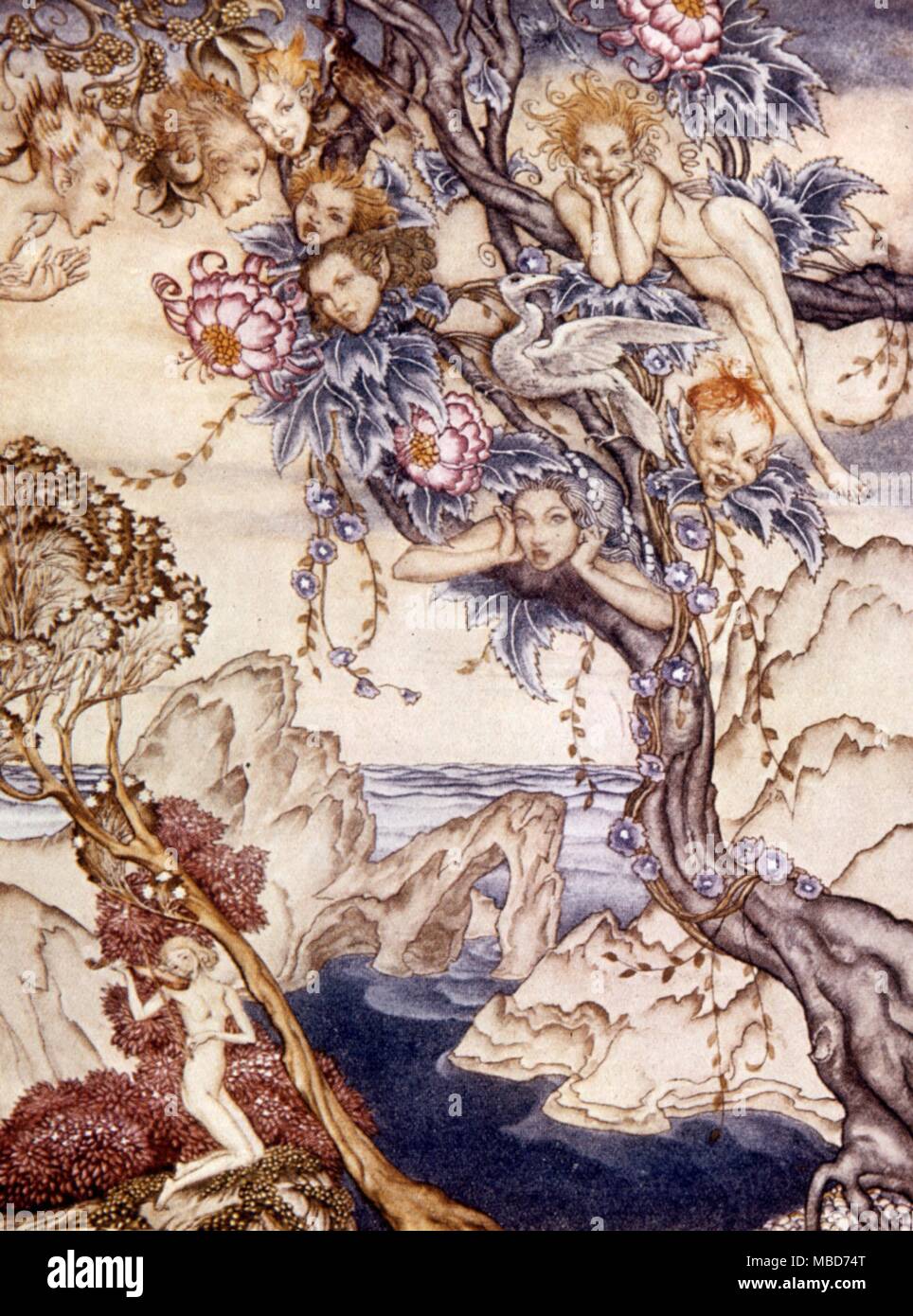 Fairies - The Isle is full of noises - Illustration to the 1926 edition of The Tempest by Arthur Rackham The fairy Ariel with other fairies, on the enchanted Island of Prospero - Illustration by Arthur Rackham to The Tempest 1906 Stock Photo