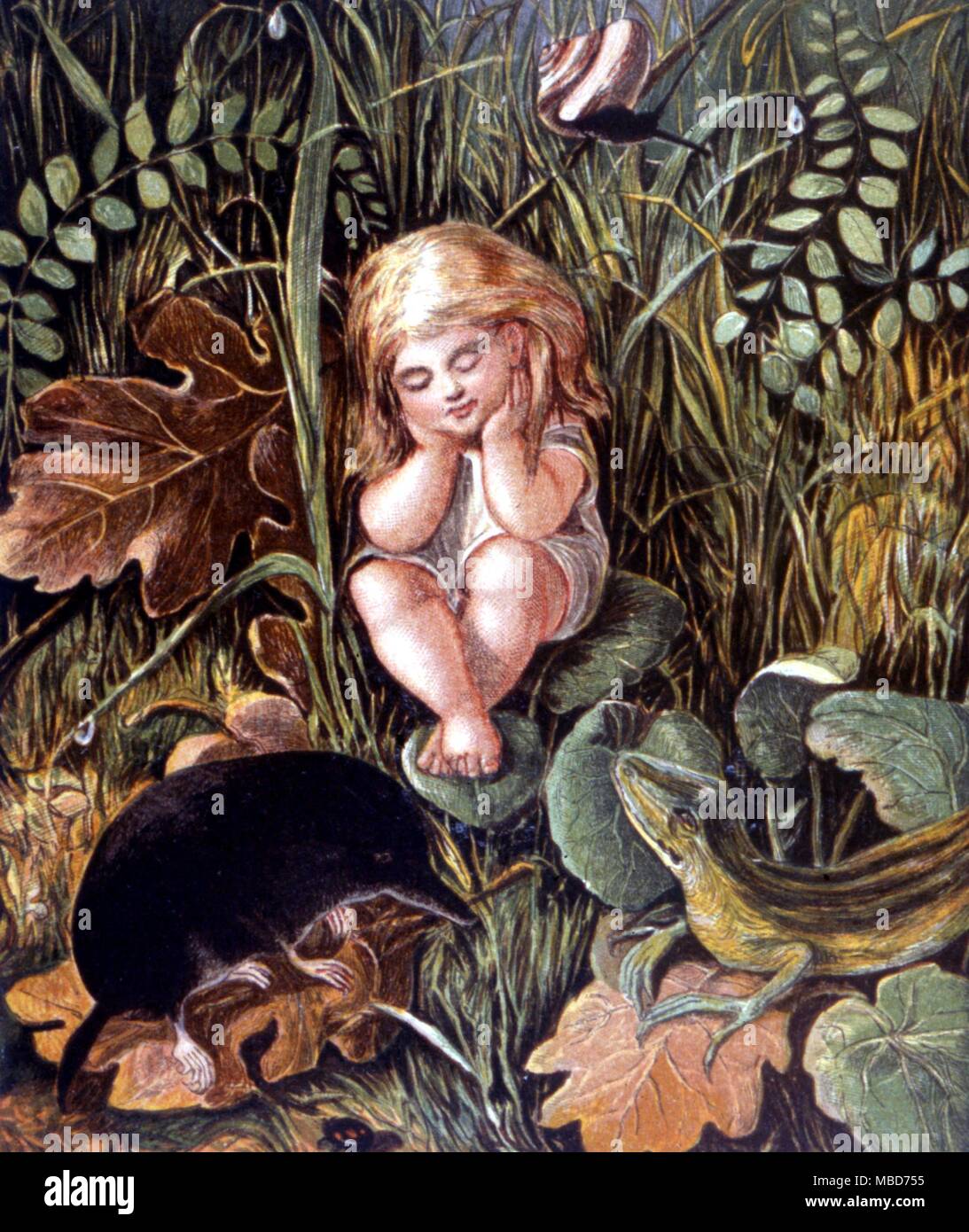 Fairies - Elementals - Fairy Kingdom - The child and the mole - from the 1846 zylographic The Story Without an End by Carova - printed by the Leighton brothers. Stock Photo