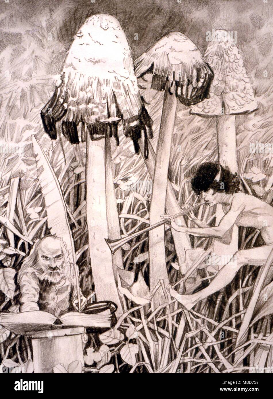 Fairies - Troll - The fairy scribe, or Troll, with a spell-casting fairy. Drawing by Gordon Wain, 1989, in the collection of Charles Walker. Stock Photo