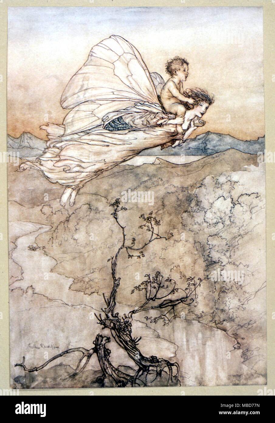 Fairies - Sylph fairy of the Air - illustration by Arthur Rackham to the 1908 edition of A Midsummer Night's Dream Stock Photo