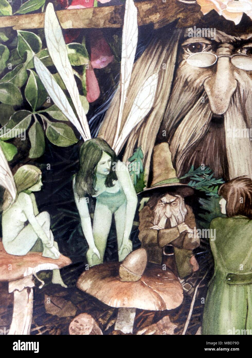 Gnomes and fairies - Fairy Feller - detail of artwork by Gordon Wain 1984 Stock Photo