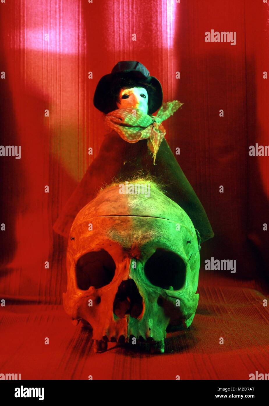 Transfixed High Resolution Stock Photography and Images - Alamy