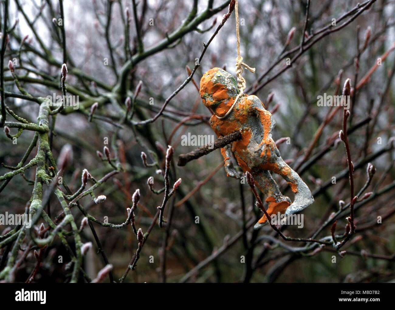 Hanged poppet, skewered through with a rusty nail. This is one of the traditional forms of 'sympathetic magic' by which an image is used to convey pain, illness or death to a named victim. Stock Photo