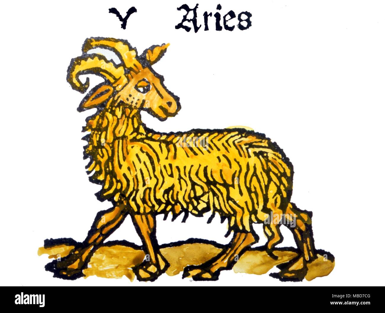 Late fifteenth century woodcut of Aries the Ram Stock Photo