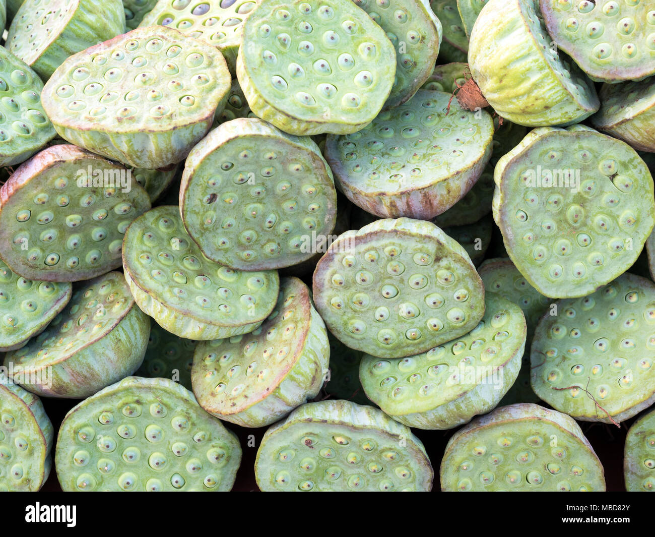 Lotus fruit hi res stock photography and images Alamy