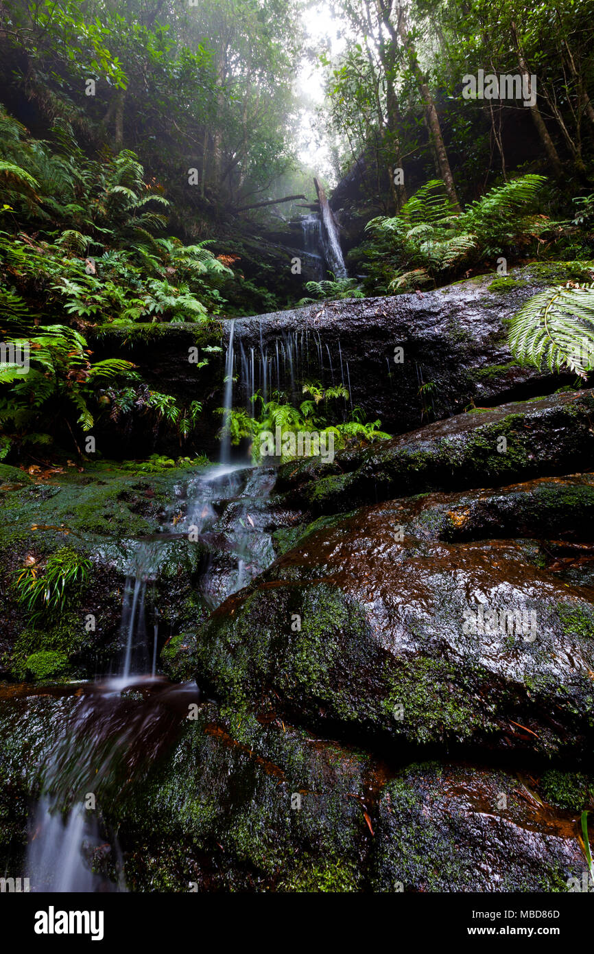 The stunning Empress Falls in the Blue Mountains NSW Stock Photo Alamy