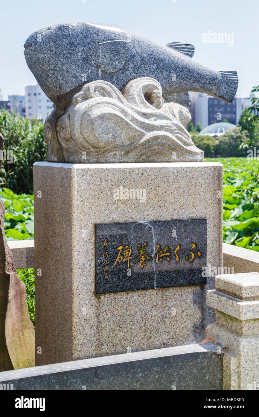 Tokyo Japan,Ueno,Ueno Park,Ueno koen,Shinobazu Pond,water lilies,fish