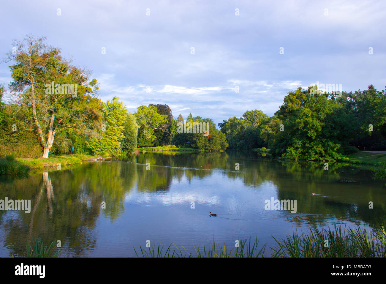 Pond reflecting clouds blue sky hi-res stock photography and images - Alamy
