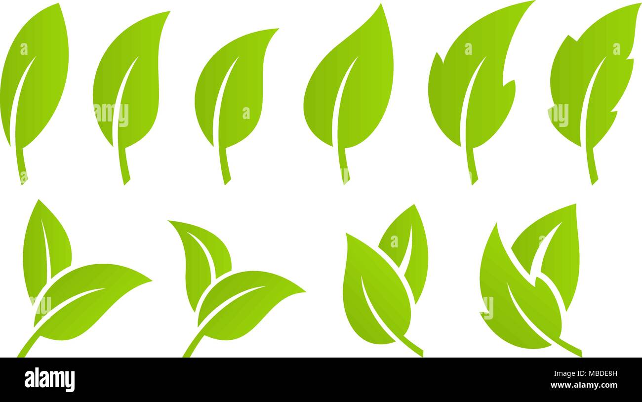 Green leaf set. Eco Stock Vector Image & Art - Alamy