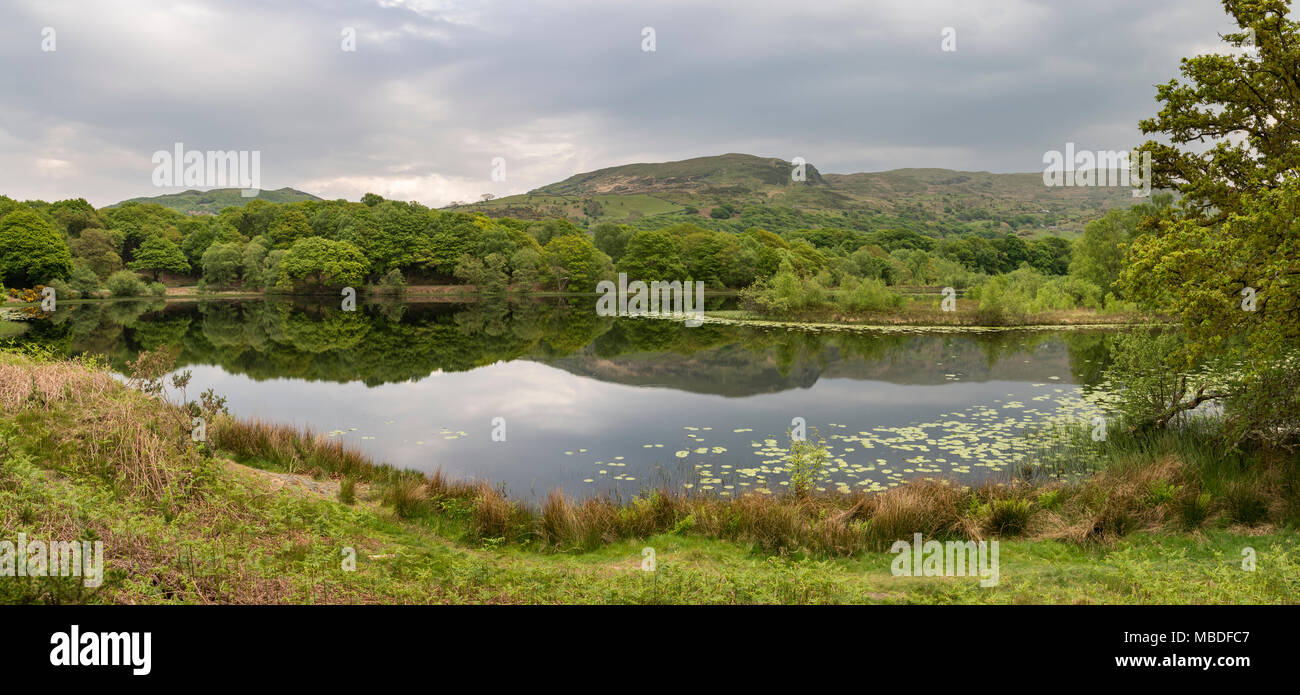 Llyn Tecwyn Isaf, a beautiful natural lake in the hills of Snowdonia, North Wales, UK. Stock Photo
