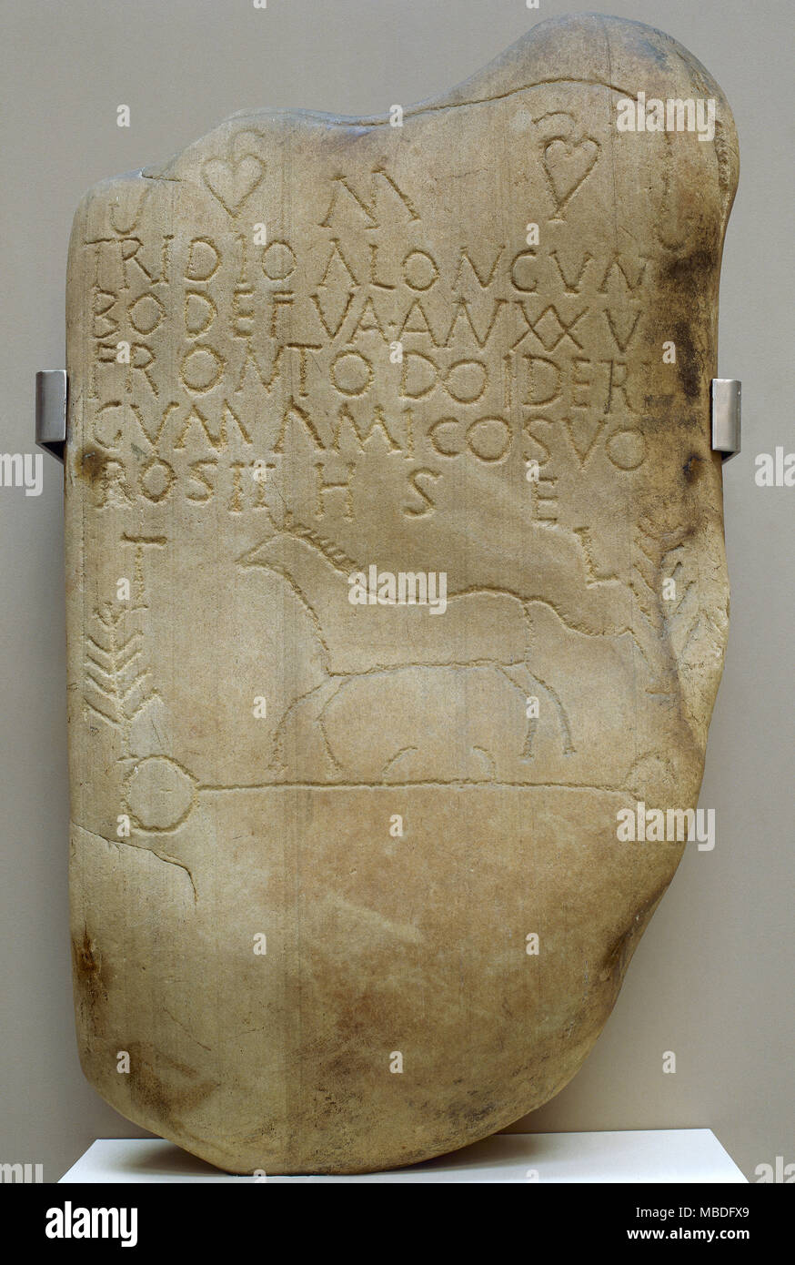 Vadinian tombstone of Tridio Alonge, 2nd-3rd centuries AD. Epitaph inscription in Latin language, In the lower part, a horse on a funerary cart. Quartzite. From Remolina, Spain. Museum of Leon, Castile and Leon, Spain. Stock Photo