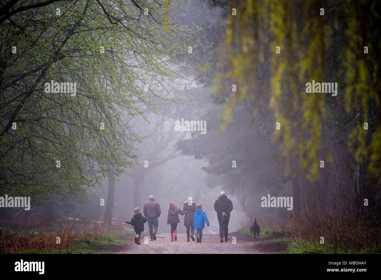 A family walk through the mist in Epping Forest, London, as the seasonal wet weather continues. Stock Photo