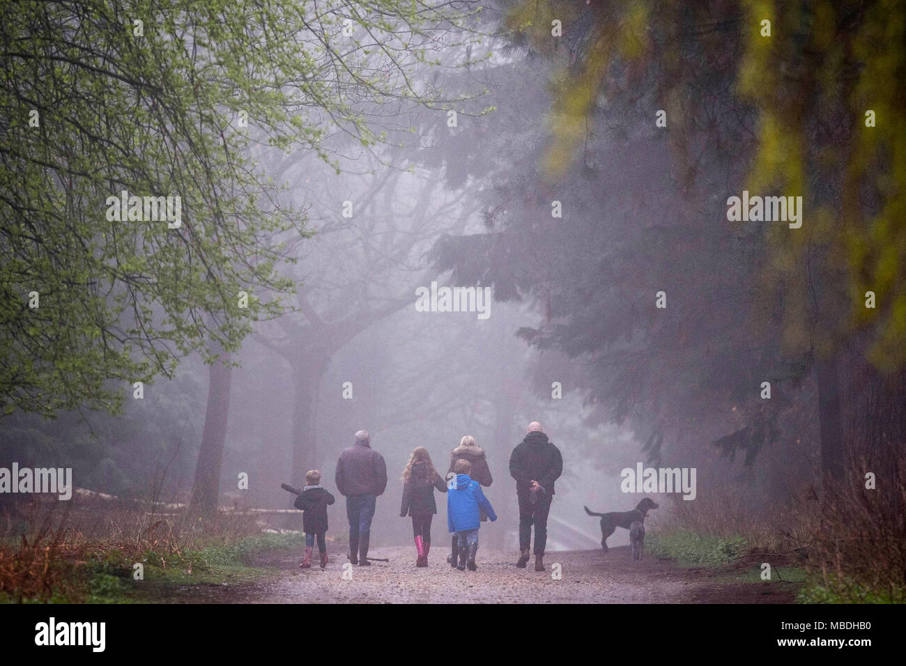 A family walk through the mist in Epping Forest, London, as the seasonal wet weather continues. Stock Photo