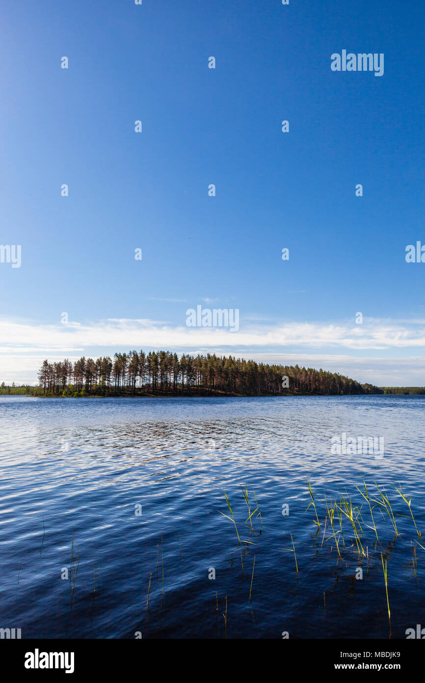 Lake, Summertime, Mid Sweden. View from Kabin private island, run by Stilleben Hotel, Ämot. Stock Photo