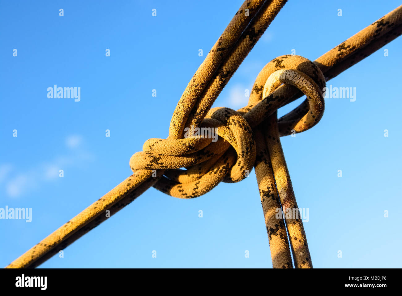 Closeup stretched and tied industrial braided rope Stock Photo - Alamy