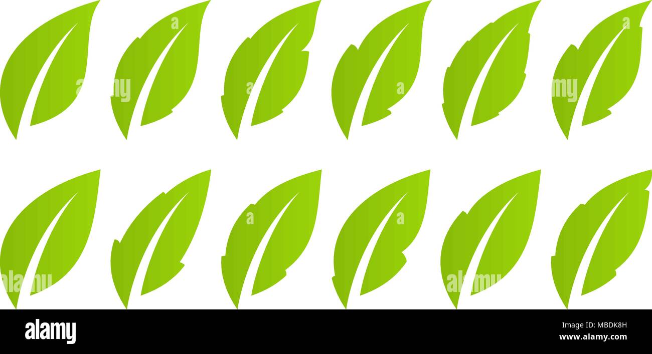 Green leaf set. Eco Stock Vector Image & Art - Alamy